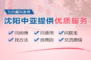 1541577502325040.jpg 400-300-04(中亚)_副本.jpg